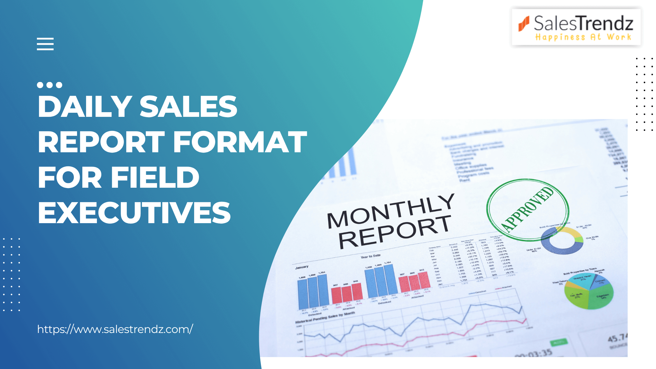 Daily Sales Report Format for Field Executives